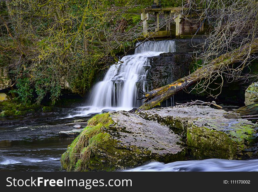 Waterfall Surrounded by Plants