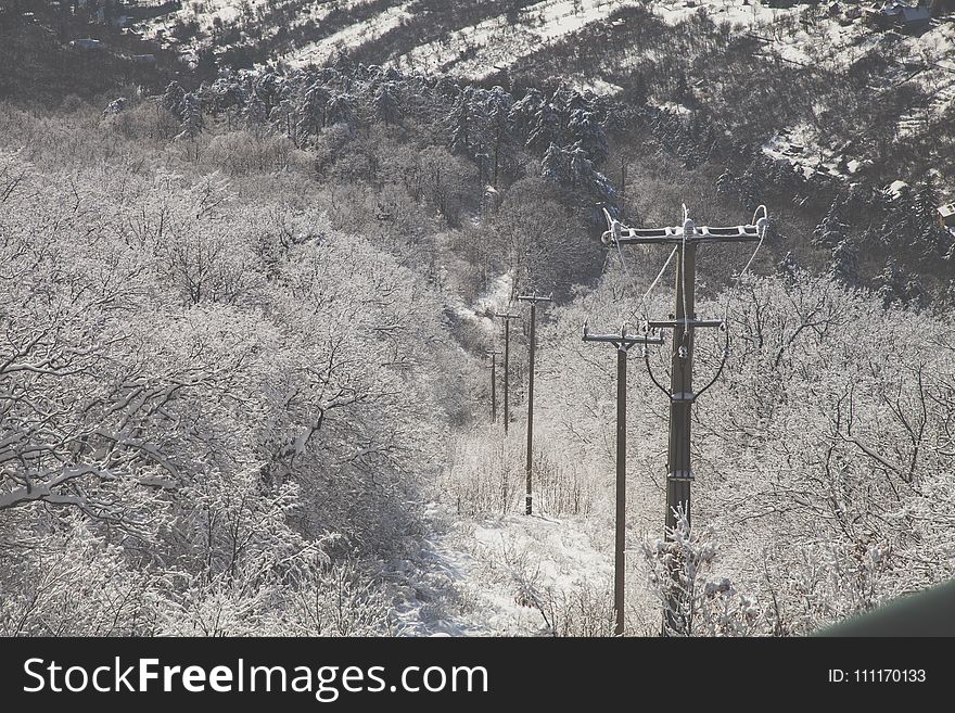 Photo of Electricity Transmission Surrounded With Trees