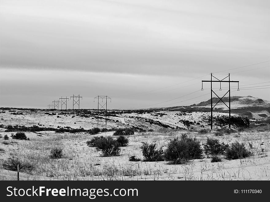 Electric Posts On Dry Field