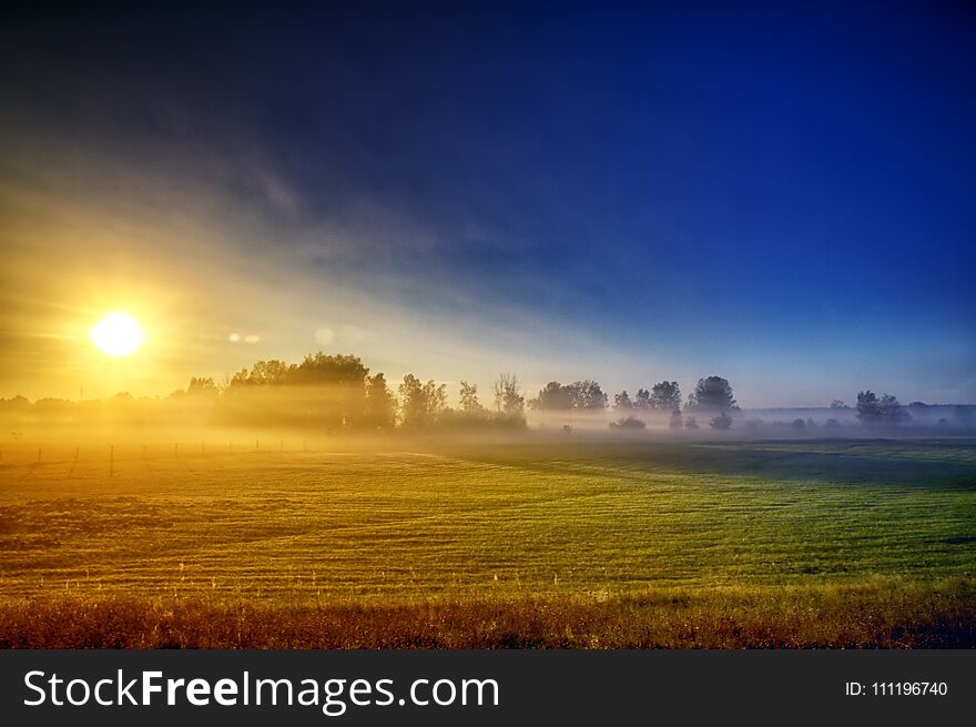 Sun rising over the bushes, setting off the morning fog and showing the blue sky. Sun rising over the bushes, setting off the morning fog and showing the blue sky