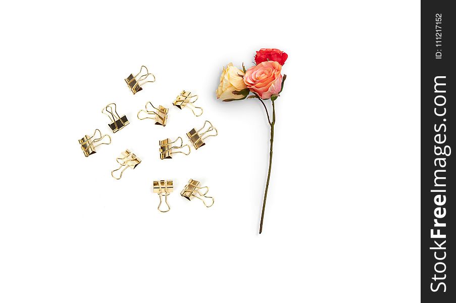 Three Red, Yellow, and Pink Roses and Brass-colored Clips