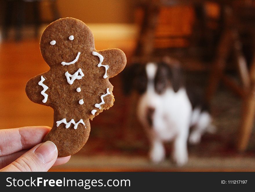 Close-up Photography of Gingerbread