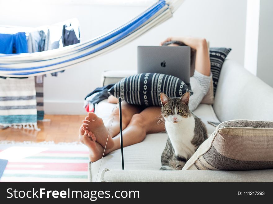 Woman Lying on Sofa With Cat in Her Foot