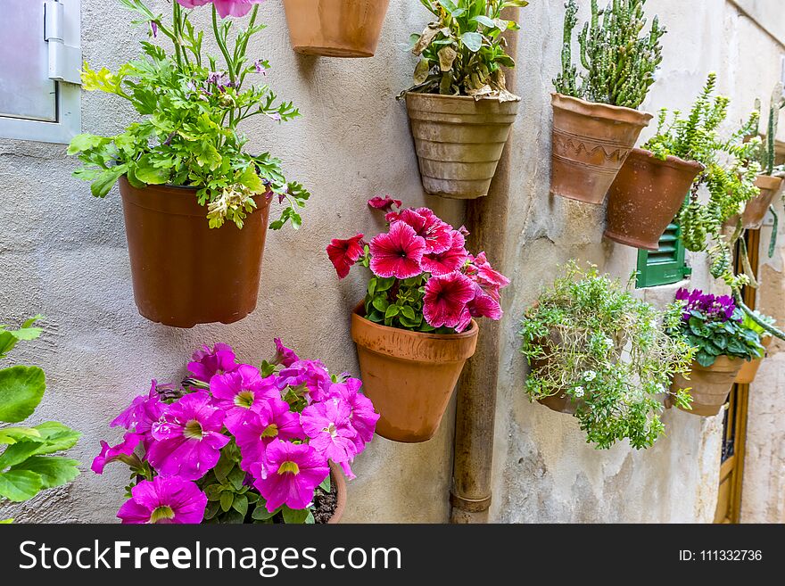 rustic, flowerpots street in the tourist island of Mallorca, Val