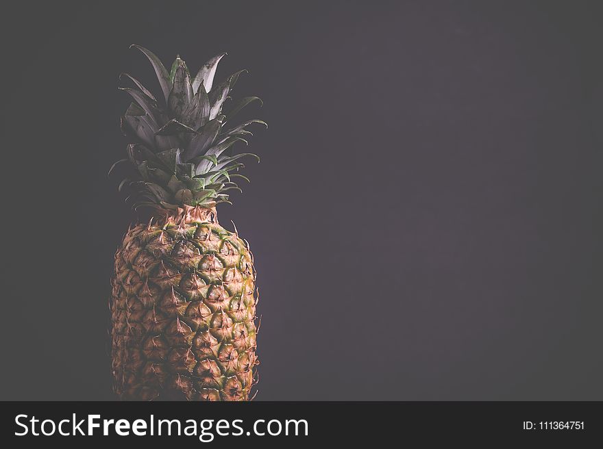 Photography of Pineapple