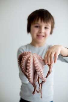 Cute Preschool Child, Boy, Holding Raw Octopus Stock Photos