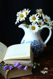 Books And Flowers Stock Photography