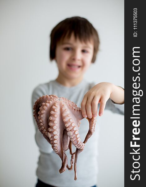 Cute preschool child, boy, holding raw octopus, isolated on white background