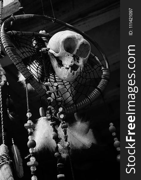 Black, Black And White, Monochrome Photography, Skeleton
