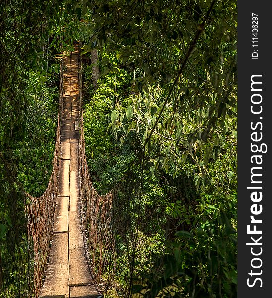 Wood bridge national park brazil old