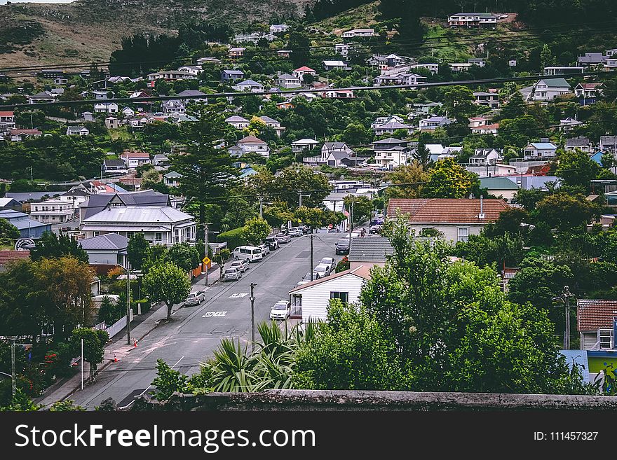 Birds Eye View Photography of Cars on Street Between Houses