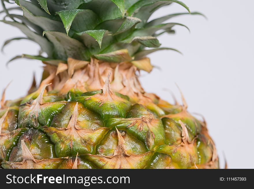 Pineapple Fruit