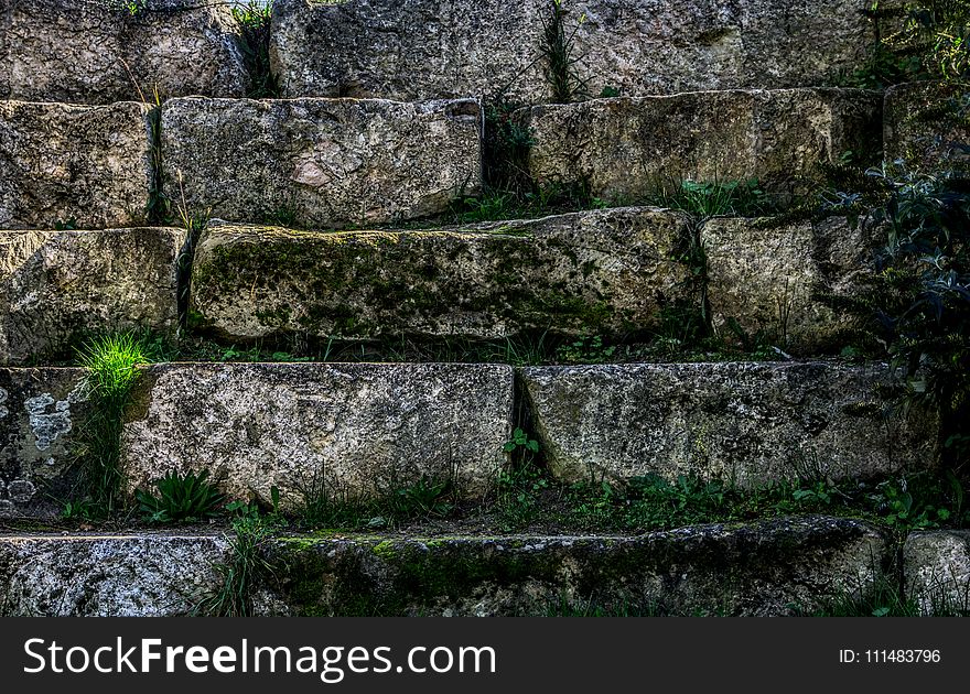 Wall, Grass, Stone Wall, Ruins