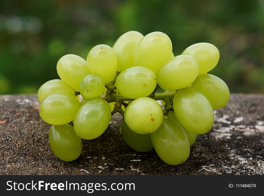 Grapevine Family, Grape, Fruit, Seedless Fruit