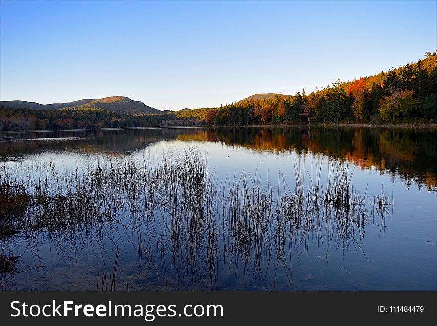 Reflection, Water, Nature, Lake