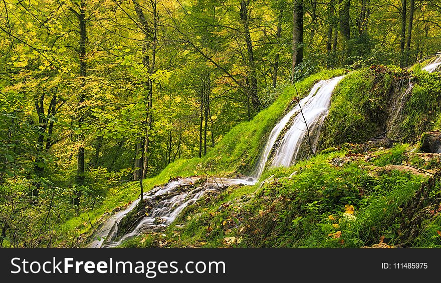 Waterfall, Nature, Nature Reserve, Vegetation