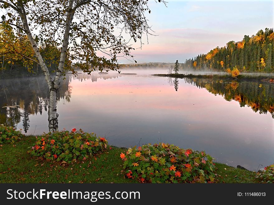 Reflection, Nature, Water, Lake