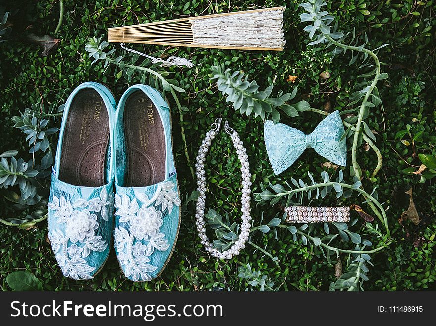 Shoe, Grass, Plant, Outdoor Shoe