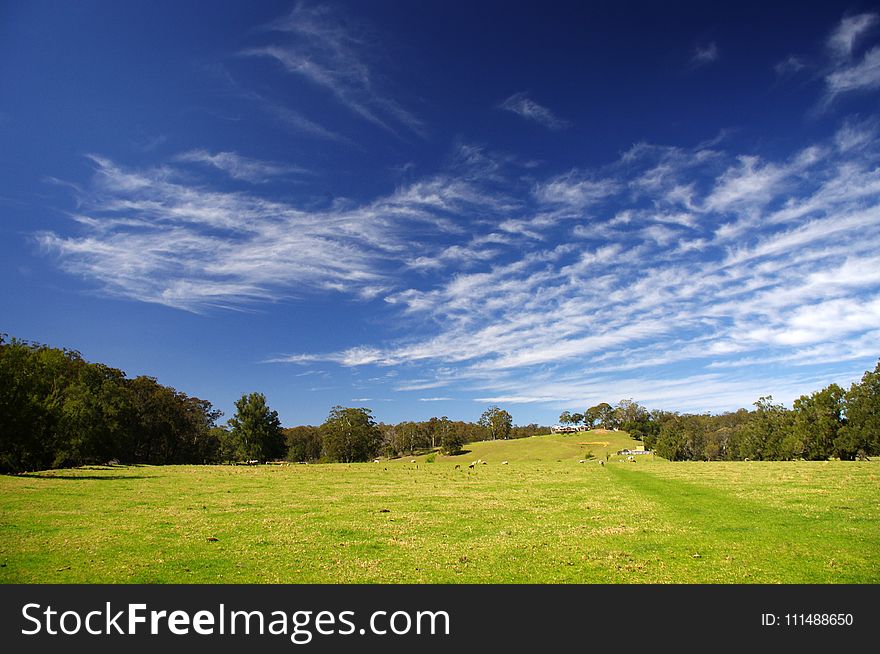 Sky, Grassland, Cloud, Field