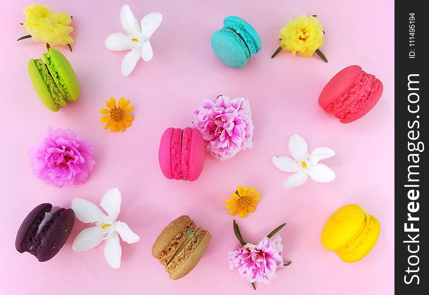 Delicious colorful macaron arrange are beautiful with flower on pink background. Delicious colorful macaron arrange are beautiful with flower on pink background