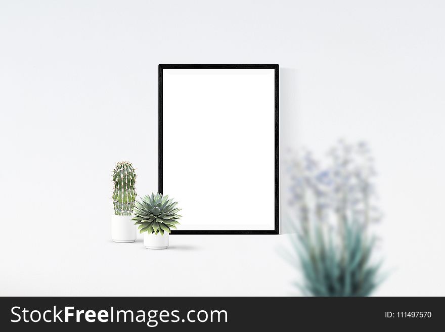Product Design, Glass, Flower, Rectangle