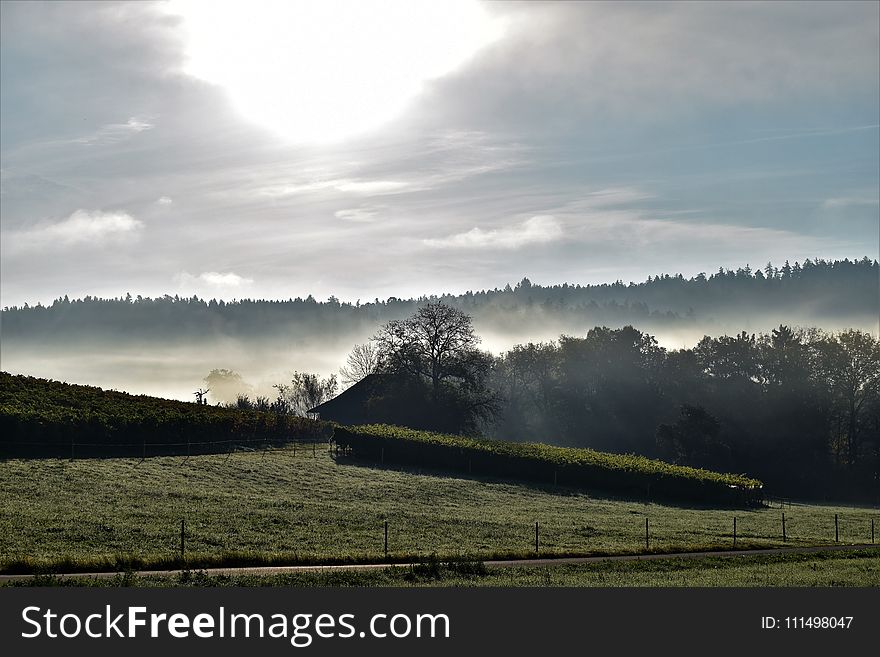 Sky, Mist, Highland, Field