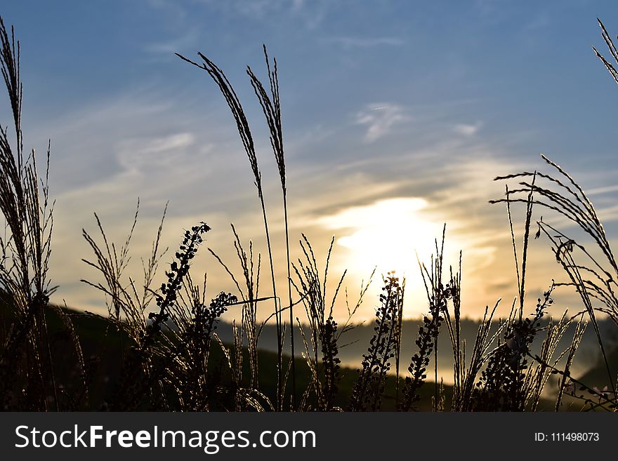 Sky, Cloud, Atmosphere Of Earth, Morning