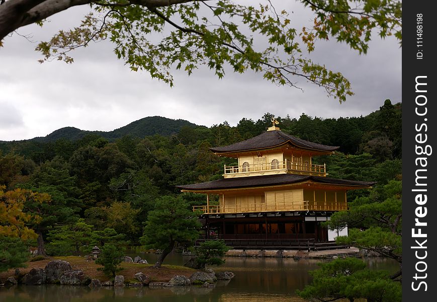 Chinese Architecture, Japanese Architecture, Nature, Reflection