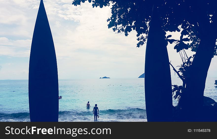 Person Standing in Front of Body of Water Near Tree