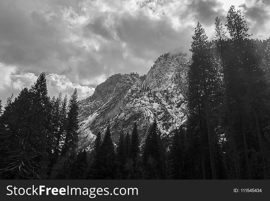 Grayscale Photography Of Trees And Mountains Under Cloudy Sky