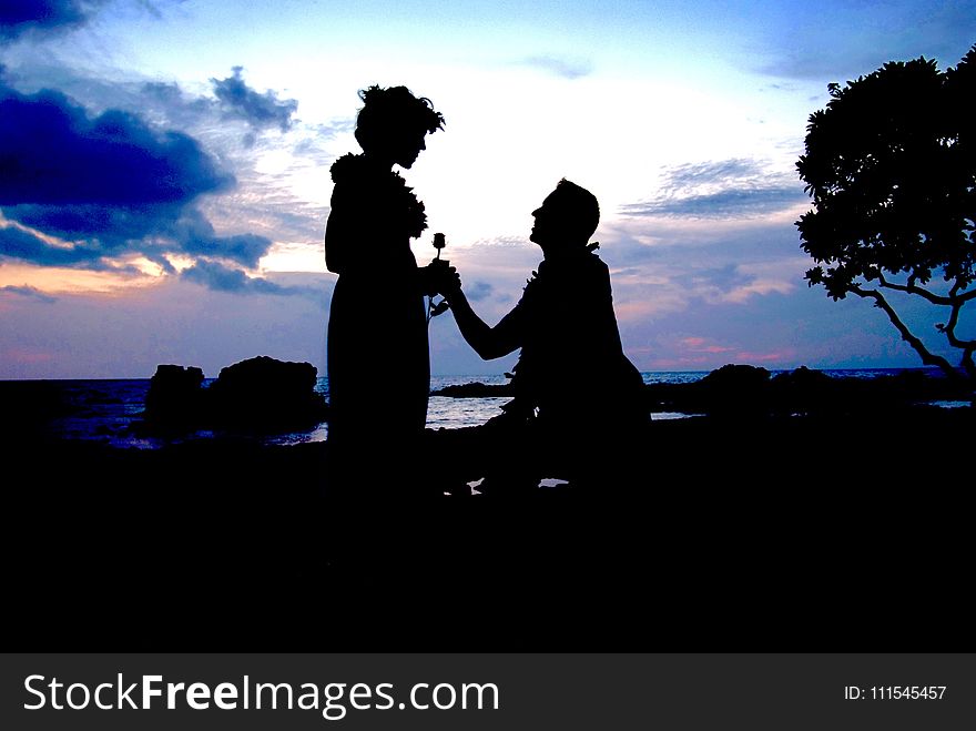 Silhouette Photo Of Man Kneeling In Front Of Woman Giving Flower