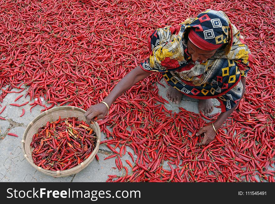 Woman Sitting on Floor of Red Chili