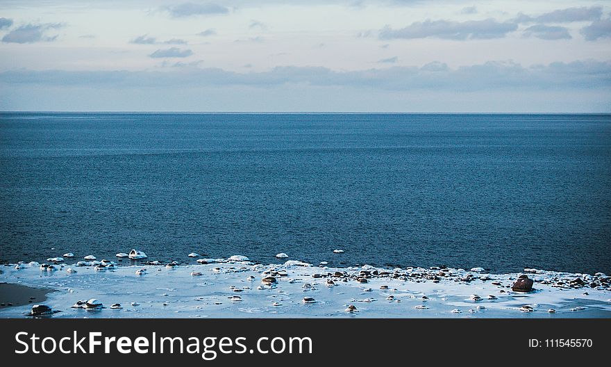 Ice Covered Shore