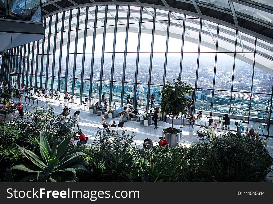 Person Sitting Inside Gray Framed Clear Glass Wall Building