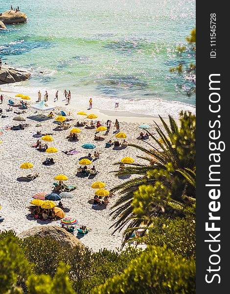 People Sunbathing and Swimming on Seashore