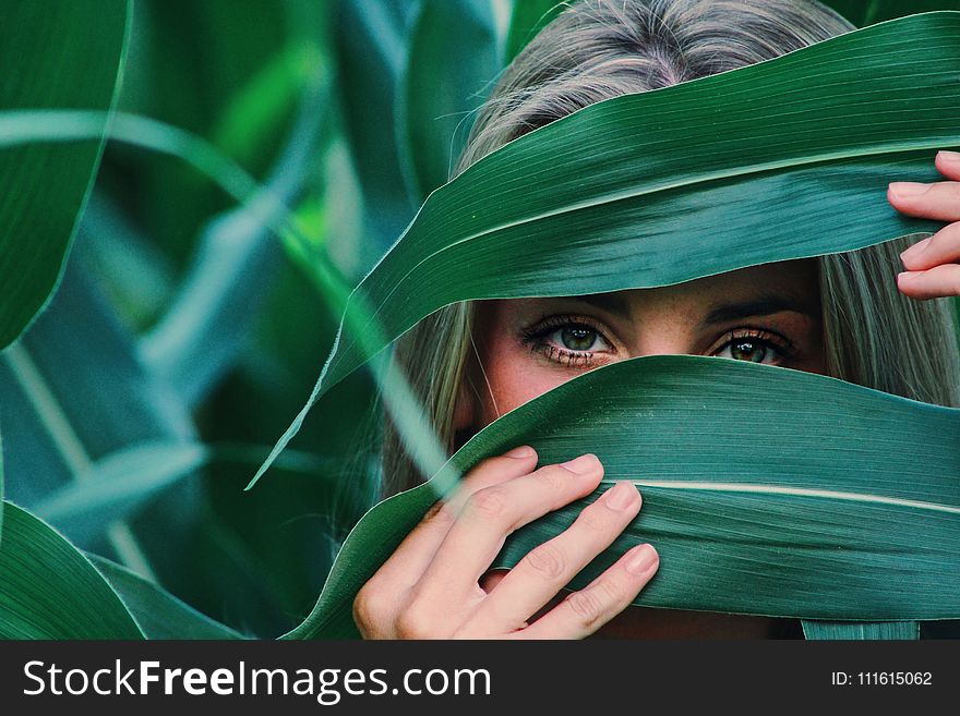 Woman Covering Her Face With Corn Leaves