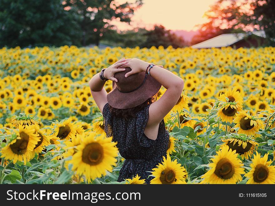 Photo of Woman in Black Dress Standing on Sunflower Field