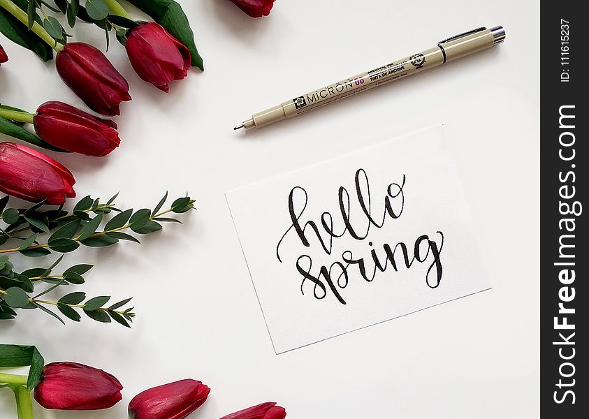 Hello Spring Handwritten Paper