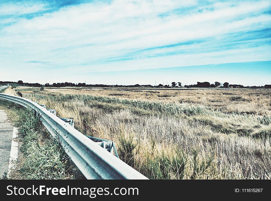 Photo of Road Railing Near Grasses