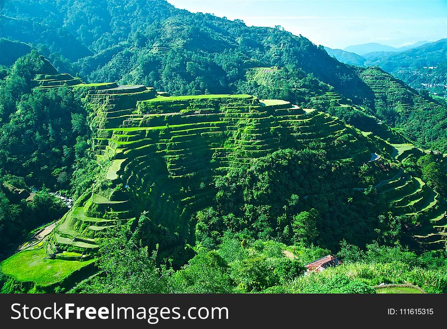 Banaue Rice Terraces