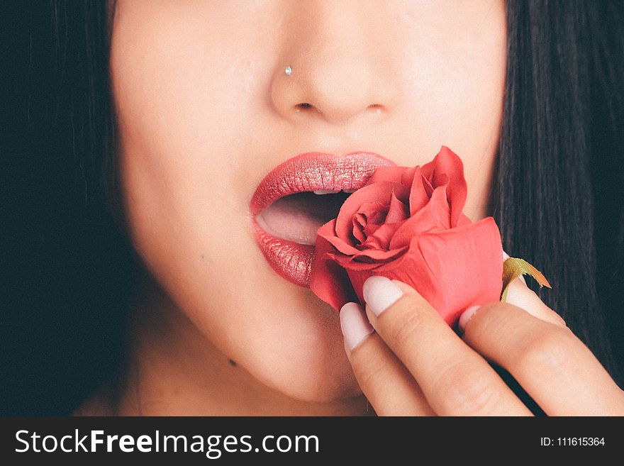 Photography of Woman Holding Red Rose