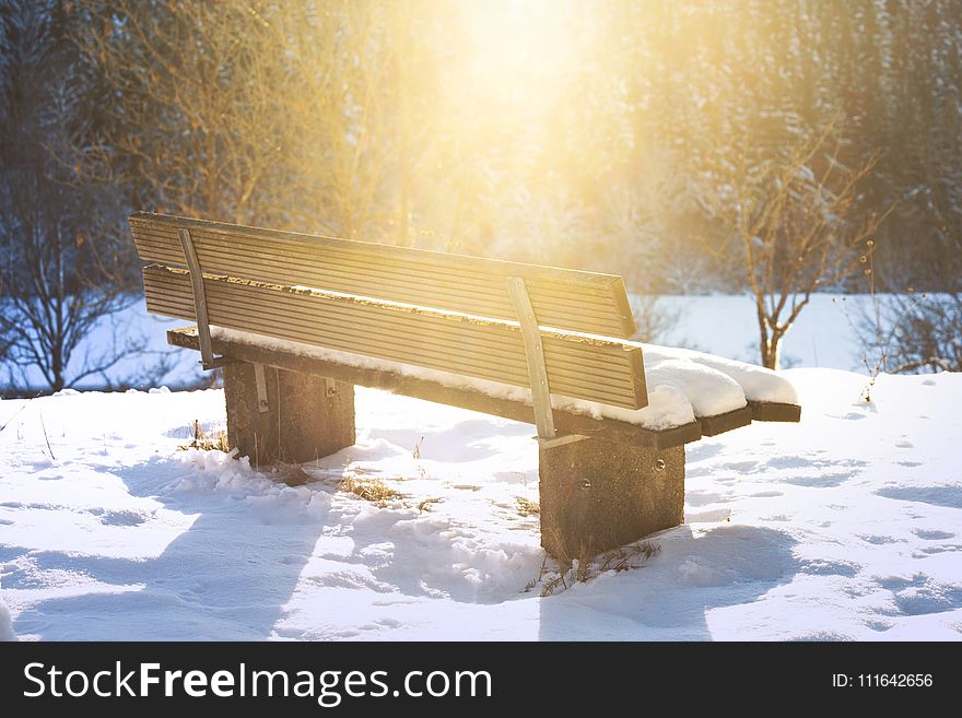 Snow, Winter, Freezing, Wood