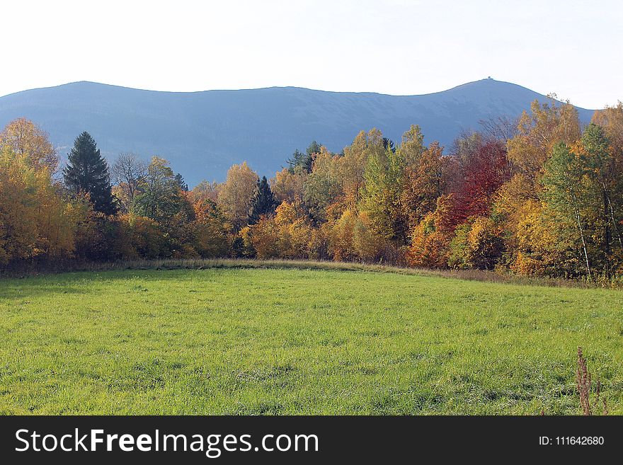 Grassland, Ecosystem, Nature, Pasture