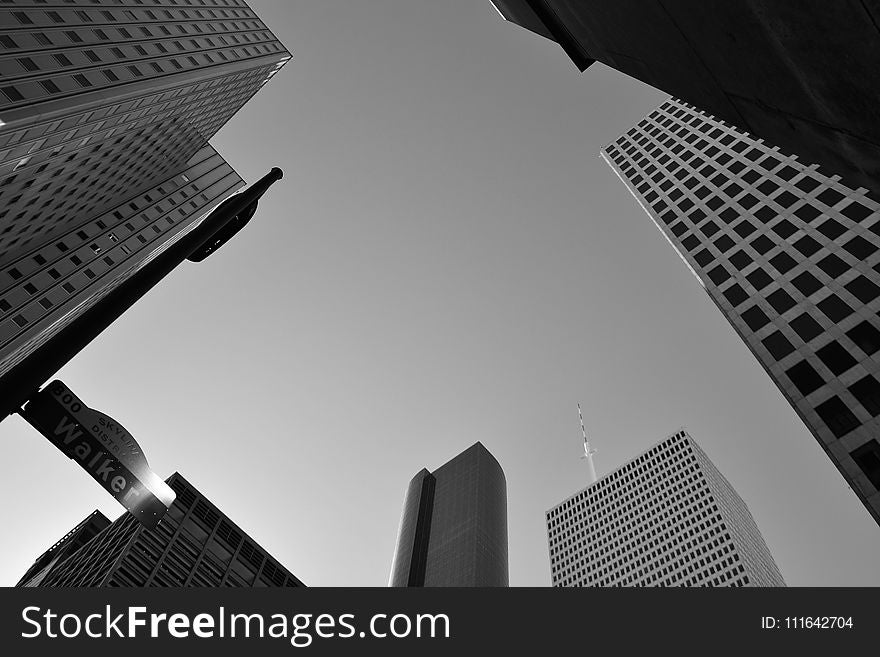 Skyscraper, Daytime, Building, Black And White