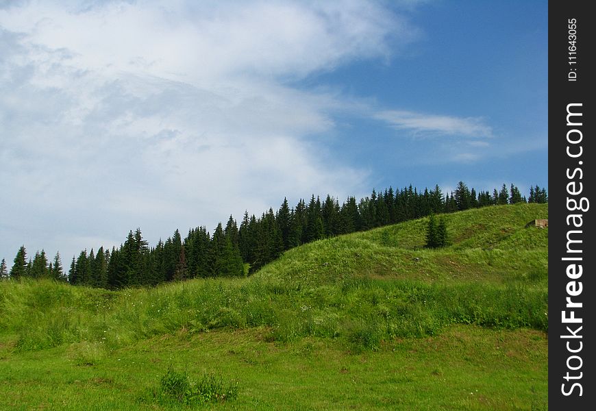 Grassland, Sky, Ecosystem, Highland
