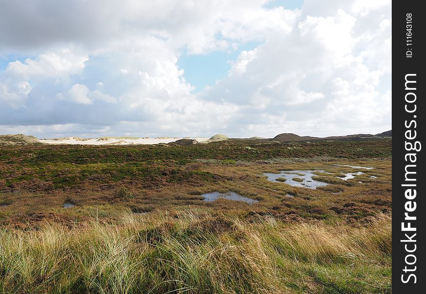 Grassland, Ecosystem, Highland, Wetland