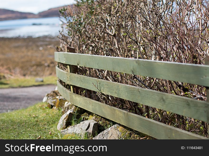 Grass, Plant, Fence, Outdoor Structure