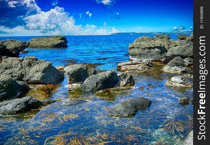 Body Of Water, Sea, Water, Coast