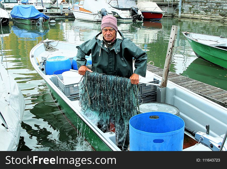 Water, Water Transportation, Vertebrate, Boat