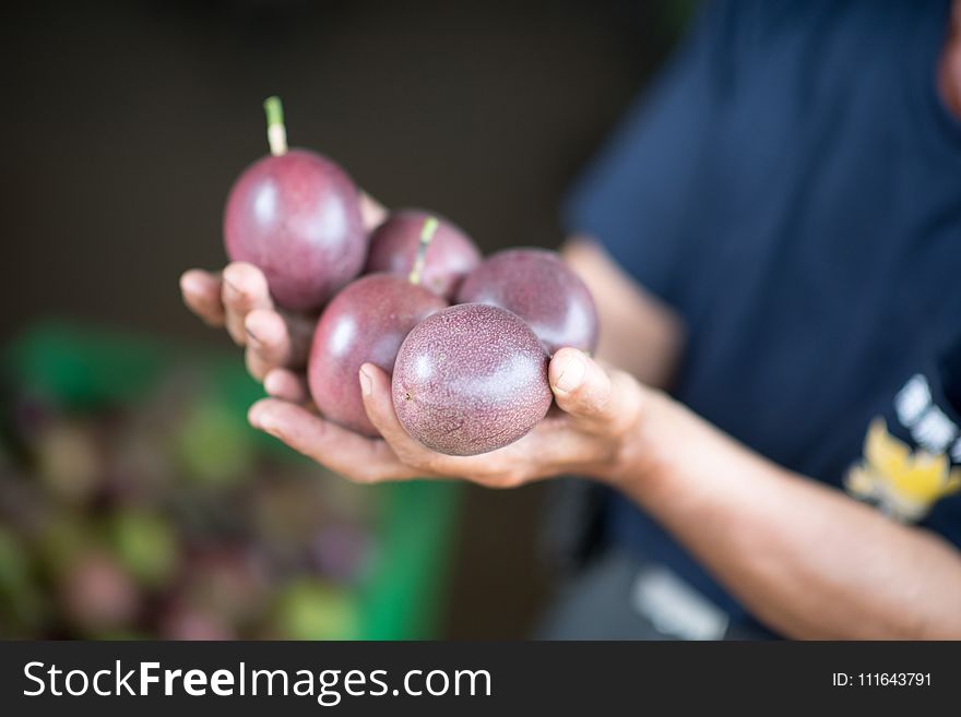 Fruit, Food, Produce, Hand